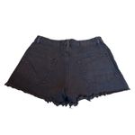 Amuse Society 3/$15 shoreline denim cut off shorts Photo 3