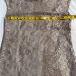 Love Note Love Notes Light Gold Lace Dress Photo 5