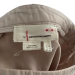 Anthropologie Sheer Beige Organza Maxi Length Skirt Size 8 Photo 6