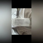 Green And White Plunge Colorblock One Piece XL Women’s Swimsuit (New) Photo 6