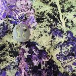 Lululemon Fast & Free 7/8 Tight II Nulux 25 Vivid Vision Black Legging Size 2 Photo 14