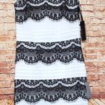 Felicity and Coco | White Black Lace Bodycon Dress Photo 0