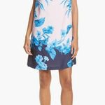 Ted Baker  Juniaa Fantasia Tunic Dress Photo 0