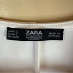 ZARA Mini Dress Size Small Rubberized Floral Print Shift Multicolor Spring Work Photo 1