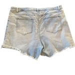 Vanilla Star Jeans Vanilla Star High Rise shortie size 22W cut off light wash jean shorts Photo 1