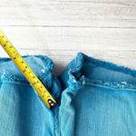 Vintage Havana  Blue Shorts Photo 6