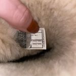 UGG  Sheepskin Boots Photo 4