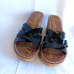 Sam Edelman  Raynere Platform Wedge Sandals Size 8.5 Photo 1