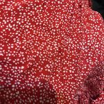Princess Polly  red floral print mini skirt size 0 women’s Photo 2
