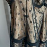 Arden B Sexy Cut Out Black Lace Dress Size Small Naked Look Photo 4