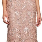 Alex Evenings  Long Embroidered Lace Cap Sleeve Gown Photo 0