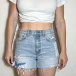 American Eagle Highest Rise 90's Boyfriend Short PRIDE RAINBOW Size 4 Photo 1