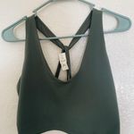 Aerie Sage Longline Sports Bra Photo 0