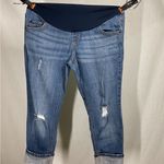 Indigo Blue  Denim Distressed Jeans in Large Photo 0