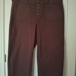 Torrid Sz 18 Brown Button-Up Wide-Leg Pants Photo 5