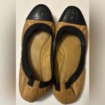 Tory Burch  Tan and Black Leather Flats Photo 2