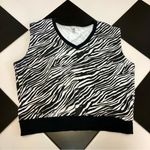 Oversized Sweater Vest Sleeveless Boxy Zebra Stripe Academia Collegiate Medium Multiple Photo 0