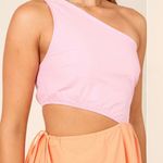 Petal and Pup Mini Dress Photo 2