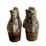 Dolce Vita Women’s Bootie Karsen Back Zip Faux Snakeskin Pointed Toe Size 8M Gray Photo 4