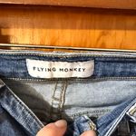 Buckle Flying Monkey Distressed Blue Skinny Jeans Photo 3