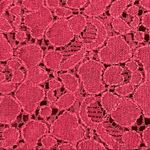 Banana Republic  Sleeveless Burgundy Lace Top Photo 6