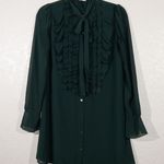 Bailey 44 Green Near Death Ruffle Front Dress Size Small Photo 2