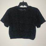 Aritzia Aritizia Wilfred Textured Abstract Black Fitted Sheer Crop Top Photo 4