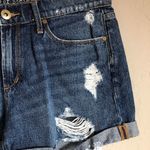 Articles of Society  Jimmy Short‎ Buffet Shorts Photo 2