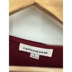 Caroline Rose Womens Red Floral Velvet Mini Dress Size L Tunic Holiday Vamp Goth Size L Photo 5