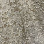 Dressbarn Cream Lace Dress Size 14 Photo 6