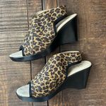 Charleston Shoe Co Wedge Sandals Slingback Size 8 Black Photo 9