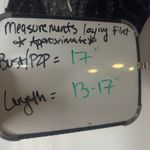 Free People  gauze floral crop top size small Photo 1