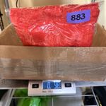 Ruby Road Orange Sheer Top Plus‎ 20W Mother of Pearl Buttons 3/4 Roll Tab Fringe Photo 9