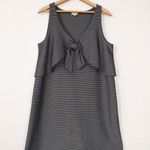 Daniel Cremieux Cremieux Vertical Striped Tie Front Dress Photo 0