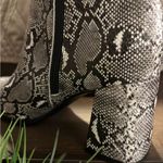 Madden Girl Snakeskin Block Heel Ankle Boots Size 7 1/2 Photo 4