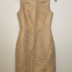 Kate Spade Della All That Glitters Dress Blush/Gold Midi Sheath Metallic Sz 2 Photo 0