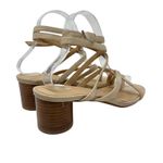Anthropologie  Quinn Strappy Heels Lace-Up Sandals Shoes Beige Tan Size‎ 7.5 Photo 11