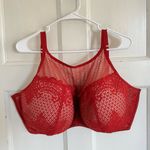 Cacique  red lace balconette underwire bra size 44H Photo 0