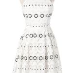 Lovers + Friends Forget Me Not Dress Ivory Crochet Lace Open Cut-Out Back Skater Photo 5