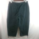 Karen Scott  Sport 16 34 Black Capri Pants Plus Photo 2