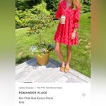 Tuckernuck Pomander Place Ikat Pink Zigzag Dress size Large Photo 1