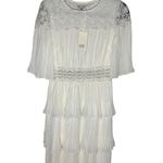 The Clothing Company Cream A-Line Flutter Sleeve Dress Photo 4