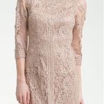 Sue Wong Blush Pink Lace Bodycon Cocktail Dress Size 8 Photo 0