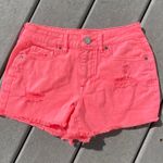 Aeropostale Distressed High Waisted Pink Shorts Photo 0