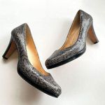 Cole Haan Grey Leather SnakeSkin Print Platform He Photo 0