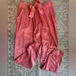 Rachel Parcell Stretch Soft Velour Drawstring Jogger Sweatpants - Small Photo 1