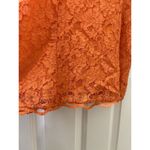 Trixxi Italian Designer Emanuela Beghelli By Beghi Orange Lace Mini Dress Bodycon Style Photo 2