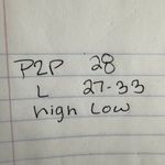 Jane and Delancey Top Women 1X Plus Size Neutral Pop Over Blouse Relaxed Fit Plaid Photo 6