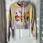 Space Jam Hooded Cropped Graphic Sweatshirt tie dye looney tunes sz XL cotton Photo 0