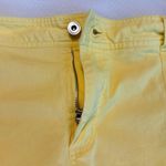 Christopher & Banks  Casual Yellow Skort Women’s Size 16 Spring Summer Photo 10